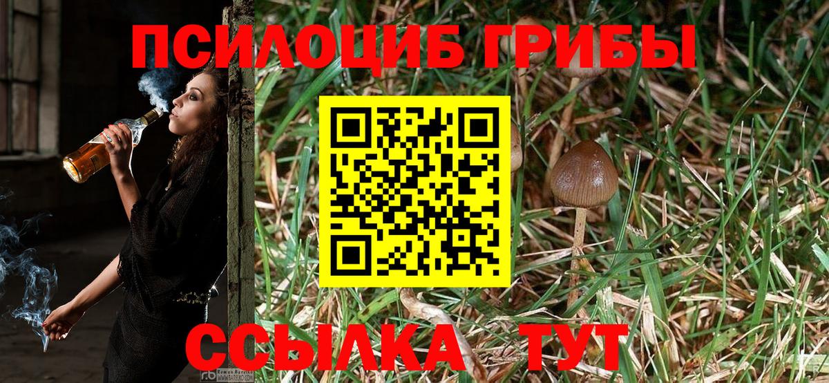 Псилоцибиновые грибы MAGIC MUSHROOMS Кириши