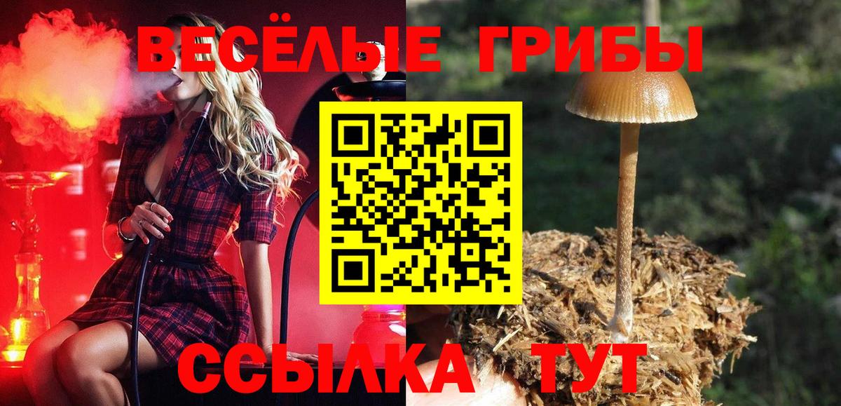 Кириши  Псилоцибиновые грибы Magic Shrooms  Вход с VPN  Псилоцибиновые грибы GOLDEN TEACHER 